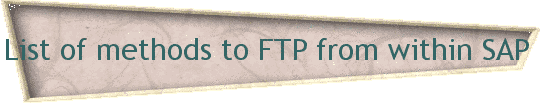 List of methods to FTP from within SAP