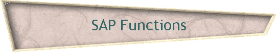 SAP Functions