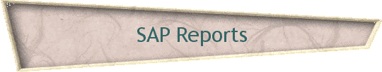 SAP Reports